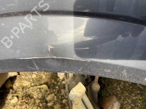 Left front fenders OPEL SIGNUM Hatchback (Z03) 1.9 CDTI (F48) | BP23783794C41 