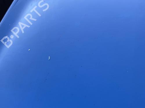 Hood RENAULT MEGANE II (BM0/1_, CM0/1_) 1.9 dCi (BM0G, CM0G) | BP21797986C1