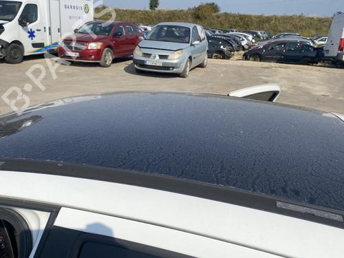 Used Sunroof PEUGEOT 207 (WA_, WC_) 1.6 HDi (90 hp) 28018239