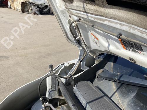 Hinge/Door check strap FORD TRANSIT CONNECT V408 Box Body/MPV 1.5 TDCi | BP24802925C146 