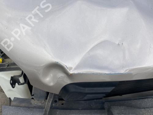 Used Hood NISSAN QASHQAI I (J10, NJ10) 2.0 dCi All-wheel Drive (150 hp) 28817095