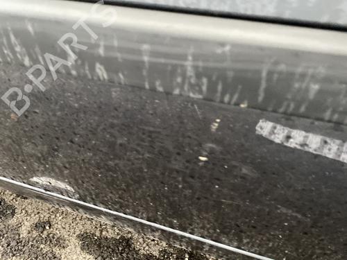 Porta frente esquerda RENAULT MEGANE II (BM0/1_, CM0/1_) 1.6 16V (BM0C, CM0C) | BP29115561C2 