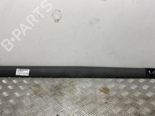  Baguette de porte RENAULT CLIO II (BB_, CB_) 1.6 16V (BB01, BB0H, BB0T, BB14, BB1D, BB1R, BB2KL, BB3G... (107 hp) 29120226