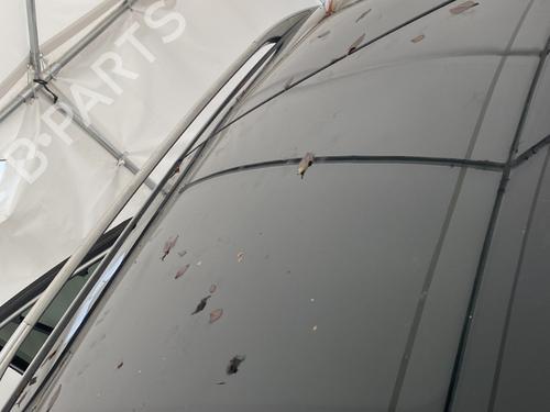 Soltag RENAULT KOLEOS I (HY_) 2.0 dCi 4x4 (HY0K) | BP31969641C124