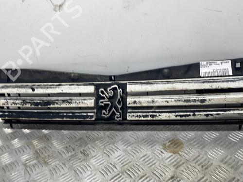 Used Grille PEUGEOT 205 II (20A/C) 1.7 Diesel (60 hp) 29162376