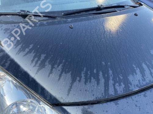 Hood PEUGEOT 207 CC (WD_) 1.6 16V | BP22126082C1