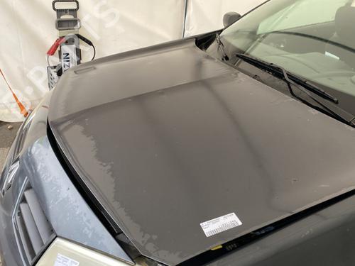 Used Hood RENAULT MEGANE II (BM0/1_, CM0/1_) 1.6 16V (BM0C, CM0C) (113 hp) 29115550