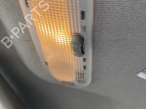 Interior roof light RENAULT CLIO III (BR0/1, CR0/1) 1.5 dCi (C/BR0G, C/BR1G) | BP29422483I8 
