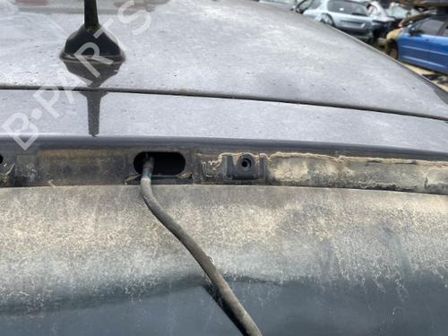 Tailgate RENAULT CLIO III (BR0/1, CR0/1) 1.5 dCi | BP22122684C6