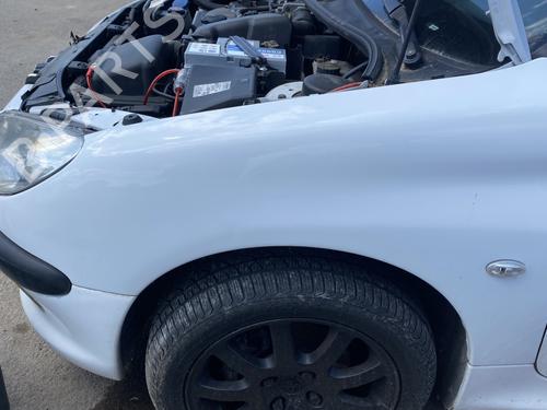 Błotnik przedni lewy PEUGEOT 206 Hatchback (2A/C) 1.6 i | BP25890554C41 