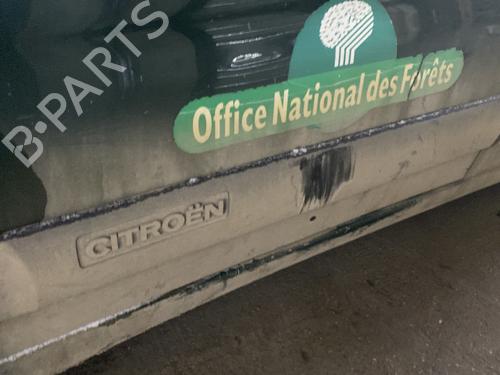 Dørliste CITROËN BERLINGO / BERLINGO FIRST MPV (MF_, GJK_, GFK_) 1.6 HDI 90 (MF9HX) (90 hp) 31294665