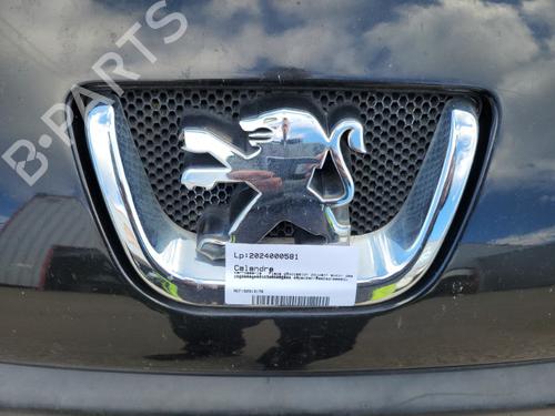 Used Grille PEUGEOT 1007 (KM_) 1.4 HDi (68 hp) 22125865