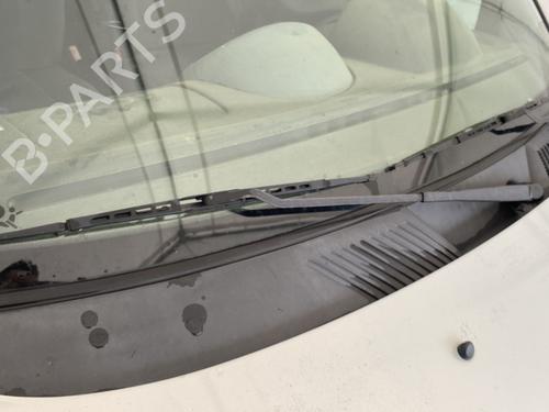 Scuttle Panel RENAULT CLIO II (BB_, CB_) 1.9 dTi (B/CB0U) (80 hp) 29204422