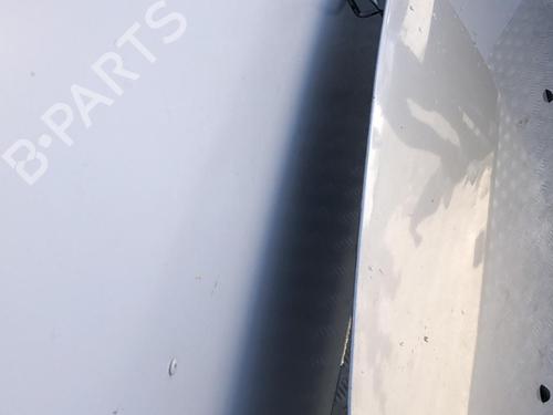 Hood RENAULT CLIO III (BR0/1, CR0/1) 1.5 dCi (BR17, CR17) | BP22111272C1 