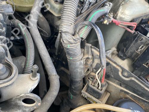 Used Wiring harness Wiring harness RENAULT CLIO II (BB_, CB_) 1.5 dCi (B/CB07) (65 hp) 40268768 40268768