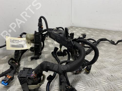 Wiring harness CITROËN C4 Picasso II 1.6 HDi / BlueHDi 115 | BP30085543E16