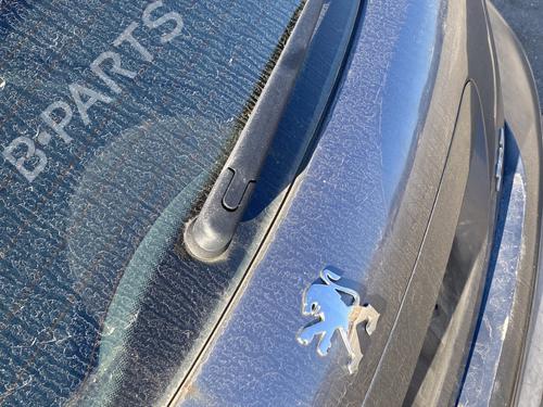 Viskermotor bagrude PEUGEOT 207 (WA_, WC_) 1.6 HDi | BP29599706M102 