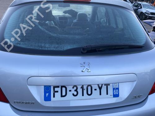 Used Tailgate PEUGEOT 207 (WA_, WC_) 1.6 HDi (90 hp) 31719161
