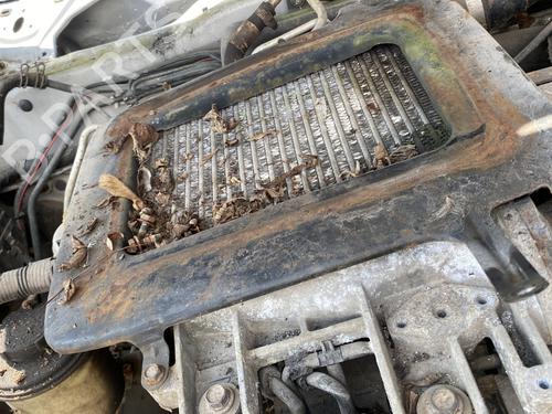 Intercooler NISSAN TERRANO II (R20) 3.0 Di 4WD | BP26618086M30