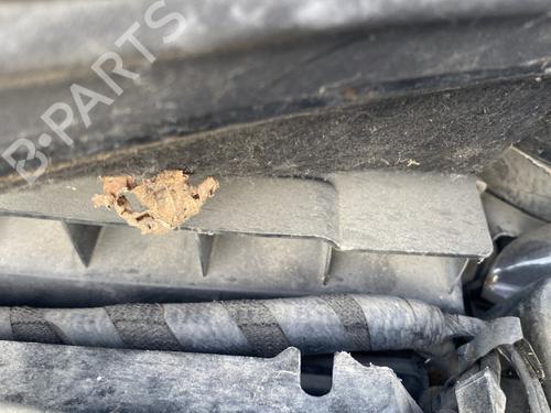 Air filter box RENAULT GRAND SCÉNIC II (JM0/1_) 2.0 dCi (JM1K) | BP30183666M87