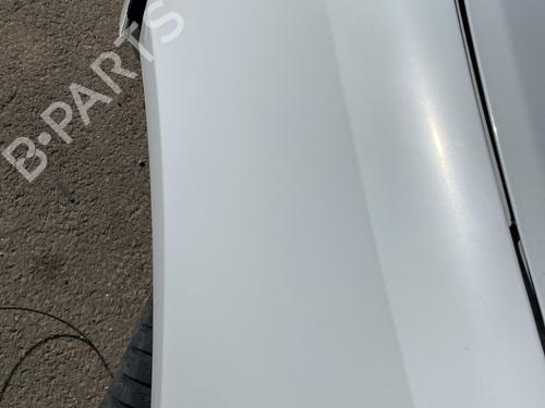 Left front fenders RENAULT CLIO III (BR0/1, CR0/1) 1.5 dCi (C/BR0G, C/BR1G) | BP29422460C41 