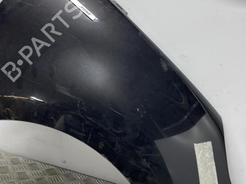 Right front fenders RENAULT SCÉNIC III (JZ0/1_) 1.5 dCi | BP19903758C42 