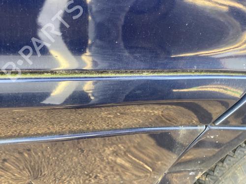 Door moulding trim MERCEDES-BENZ C-CLASS (W203) C 220 CDI (203.006) | BP29913618C150