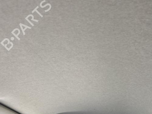 Used Interior roof Interior roof RENAULT CLIO III (BR0/1, CR0/1) 1.5 dCi (BR17, CR17) (86 hp) 30816866 30816866