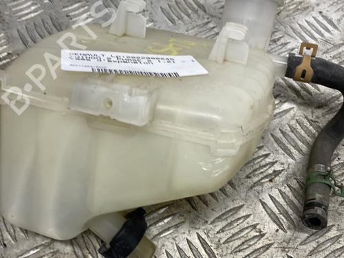 Used Expansion tank RENAULT TWINGO II (CN0_) 1.2 16V (CN04, CN0B) (75 hp) 24115888
