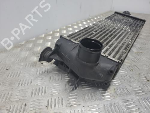 Used Intercooler Intercooler RENAULT TRAFIC II Van (FL) 2.5 dCi 145 (FL0J) (146 hp) 20979298 20979298