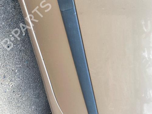 door-moulding-trim-renault-modus-grand-modus-fjp0_-2004-38072098 main image
