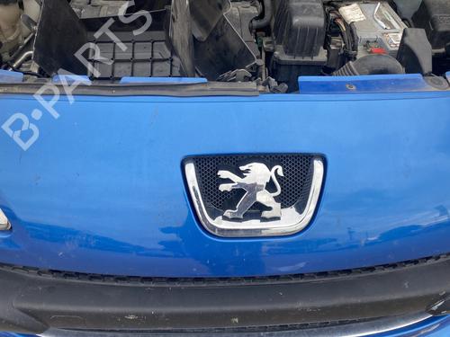 Used Grille PEUGEOT 1007 (KM_) 1.6 16V (109 hp) 29477631