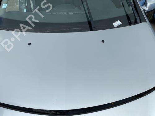 Hood RENAULT CLIO III (BR0/1, CR0/1) 1.5 dCi (BR17, CR17) | BP29282089C1 