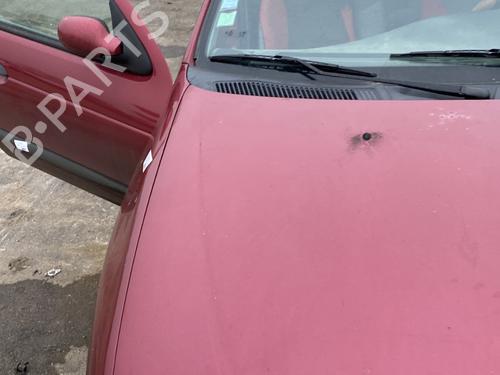 Hood RENAULT MEGANE I (BA0/1_) 1.9 dTi (BA1U) | BP22806456C1 