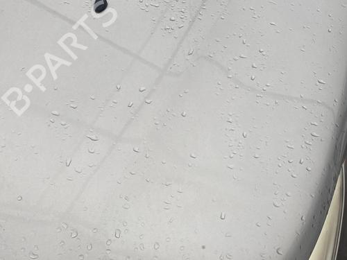 Hood PEUGEOT 2008 I (CU_) 1.6 HDi | BP31981195C1