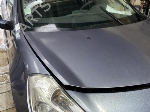 Hood RENAULT CLIO III (BR0/1, CR0/1) 1.5 dCi (BR17, CR17) | BP23845683C1 