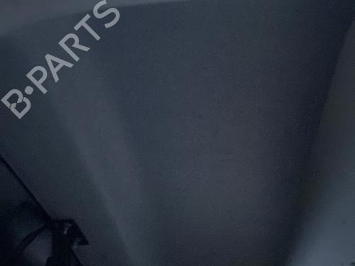 Interior roof RENAULT KANGOO Express (FW0/1_) 1.5 dCi 95 (FW16) | BP29959020I12