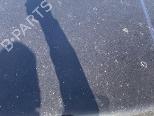 Hood LAND ROVER RANGE ROVER SPORT I (L320) 2.7 D 4x4 | BP24055670C1