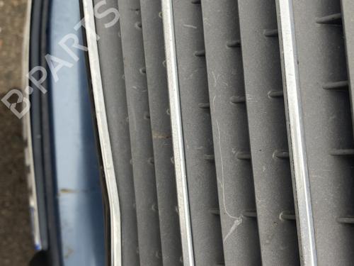 Grille MERCEDES-BENZ 124 Saloon (W124) 250 Turbo-D (124.128) | BP29243318C40 