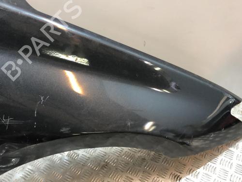Right front fenders RENAULT LAGUNA III (BT0/1) 1.5 dCi (BT00, BT0A, BT0T, BT1J) | BP19912268C42 