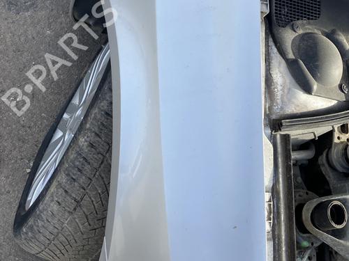 Right front fenders RENAULT LAGUNA II (BG0/1_) 2.0 16V (BG00, BG0K, BG0P, BG0W) | BP30133244C42