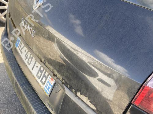 Tailgate RENAULT GRAND SCÉNIC II (JM0/1_) 1.9 dCi (JM0G, JM12, JM1G, JM2C) | BP25221442C6 