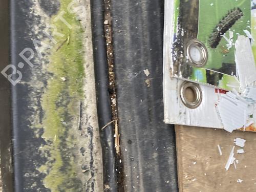 BP31093546C142 main image