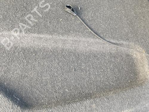 Used Rear parcel shelf Rear parcel shelf RENAULT CLIO III (BR0/1, CR0/1) 1.5 dCi (BR17, CR17) (86 hp) 30261128 30261128