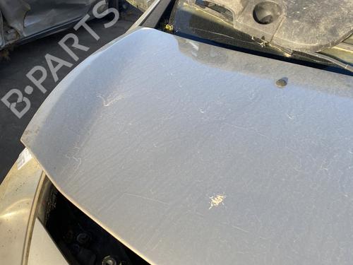 Hood RENAULT CLIO III (BR0/1, CR0/1) 1.5 dCi (BR17, CR17) | BP29571767C1 