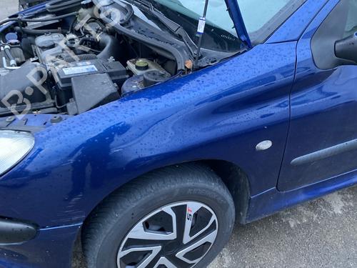 Used Left front fenders PEUGEOT 206 Hatchback (2A/C) 1.4 i (75 hp) 31691284