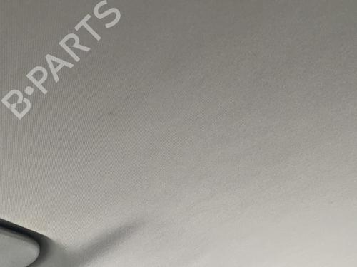 Interior roof RENAULT KOLEOS I (HY_) 2.0 dCi 4x4 (HY0K) | BP31977678I12