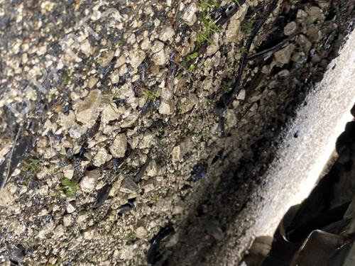 Steering rack PEUGEOT 807 (EB_) 2.2 HDi | BP32207935M22 - Image 3