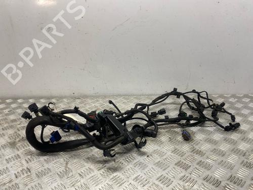Ledningsnet Ledningsnet PEUGEOT 207 SW (WK_) 1.6 16V (120 hp) 39611805 39611805