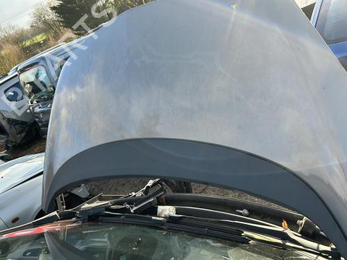 Used Hood OPEL MERIVA B MPV (S10) 1.7 CDTI (75) (110 hp) 19913600